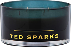 Ted Sparks Bamboo & Peony Magnum Candle