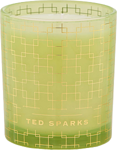 Ted Sparks Ylang - Ylang & Bamboo Demi Candle