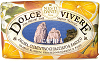 Nesti Dante Dolce Vivere Capri Fine Natural Soap